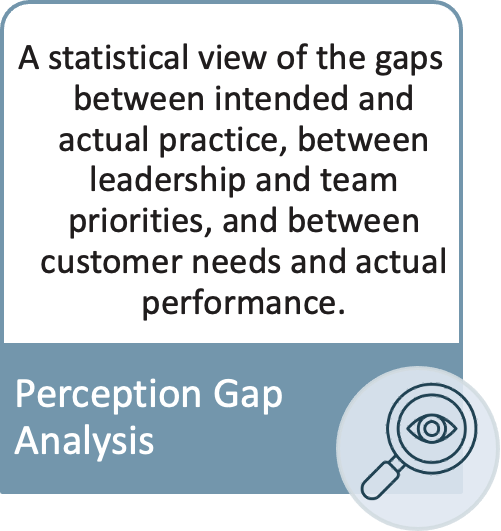 Perception Gap Analysis